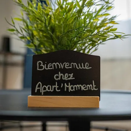 Lejlighed Avec Parking Prive Gratuit, Proche Centre-ville