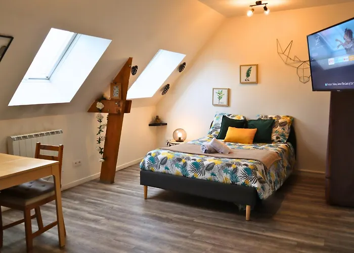 Avec Parking Privé Gratuit, Proche Centre-ville Appartement Saint-Omer (Pas-de-Calais)