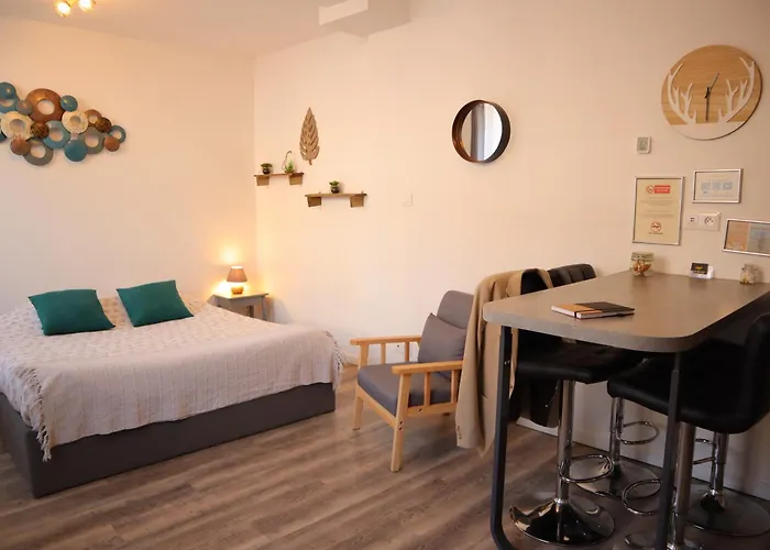 Appartement Avec Parking Privé Gratuit, Proche Centre-ville *